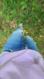 Keyot webcam model stream image