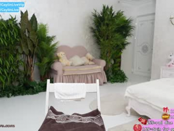 caylin webcam model stream image