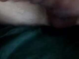 cricket111a webcam model stream image