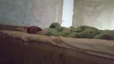 florin166 webcam model stream image