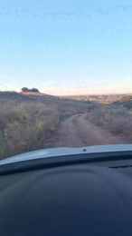 Agataperra35 webcam model stream image