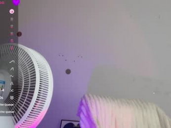 _flipped_ webcam model stream image