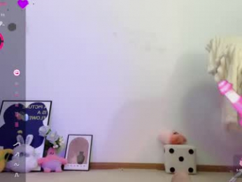 _flipped_ webcam model stream image