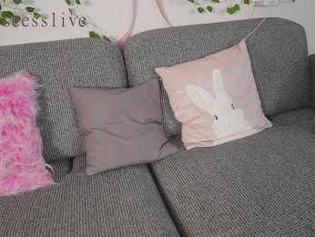 rosess_ webcam model stream image