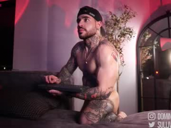 dominic_sullivan1 webcam model stream image