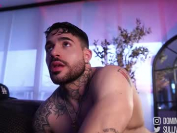 dominic_sullivan1 webcam chaturbate model stream image