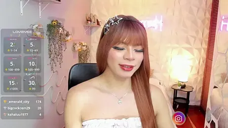 hurrencam webcam model stream image