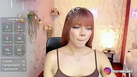 hurrencam webcam model stream image