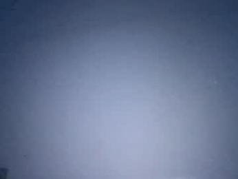 likbbc webcam model stream image