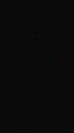 Tedoylalechita webcam cam4 model stream image