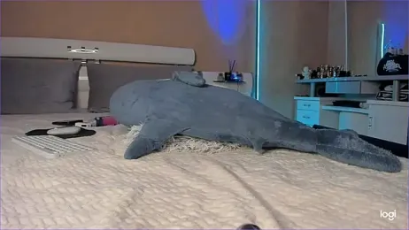 Diamond_D_ webcam stripchat model stream image