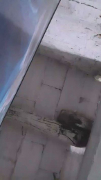 rubiblue2 webcam model stream image