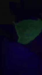 rocio221 webcam model stream image