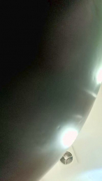 roxy220 webcam model stream image