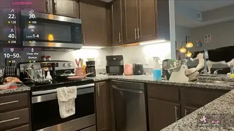 sables_world webcam model stream image