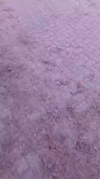 big_blackc webcam model stream image