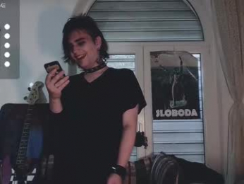 panther_cap webcam model stream image