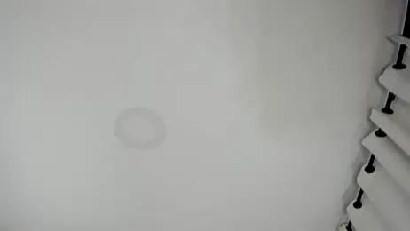 ana_beckett webcam stripchat model stream image