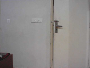 Payal-1-1 webcam model stream image