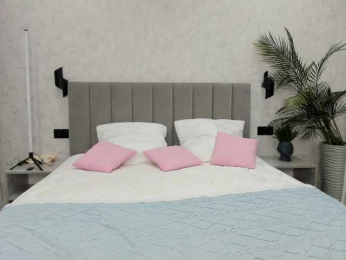 synopsiss webcam model stream image