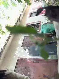 Xixi-Gala webcam model stream image