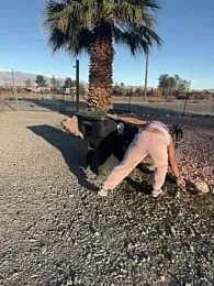 TranSexualJade95 webcam model stream image