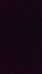 Sofia2024cl webcam model stream image