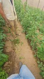 jo23_xxx webcam cam4 model stream image