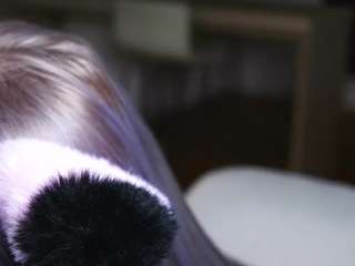 evelynnbartin webcam model stream image