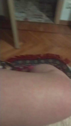 IONBRA webcam model stream image