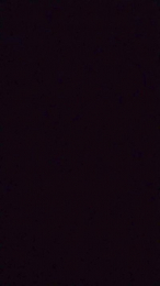 IONBRA webcam model stream image