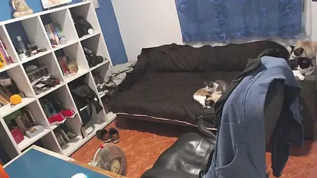 ravingr4d4 webcam stripchat model stream image