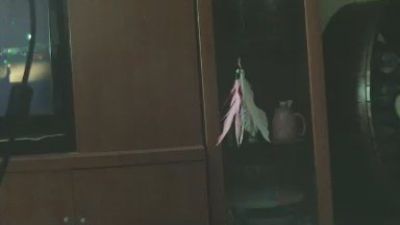 nuovacoppia75 webcam model stream image