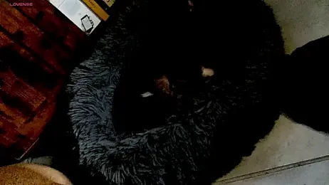 wawarruis webcam model stream image