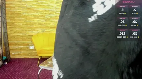 AishaRouhi webcam stripchat model stream image