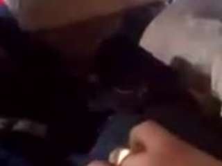 rickdragger webcam model stream image