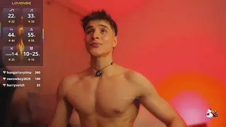 thomklein webcam model stream image