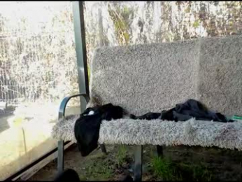 you_love_melisa webcam model stream image