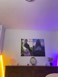 Cute-Alice webcam model stream image