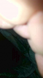 Yoel_Leon webcam model stream image