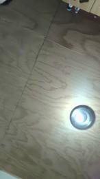 gatittaflow webcam model stream image
