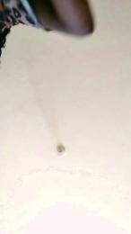 sexyapple23 webcam model stream image