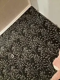 Evelin199 webcam model stream image