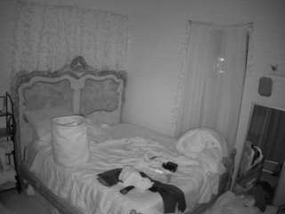 voyeurcam-hornyhostel-03 webcam model stream image