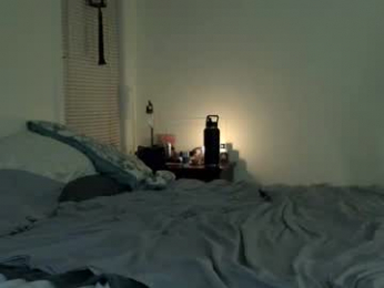 trickquestion webcam model stream image