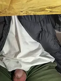 snowmelt1 webcam model stream image