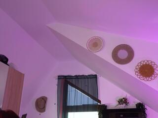 Vixen Ivy webcam model stream image