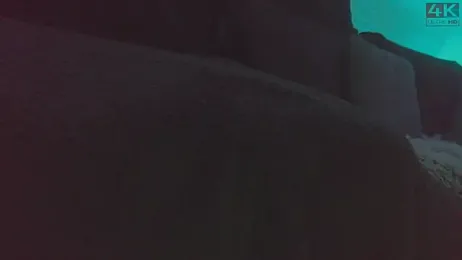 Pro-Germanisch_X webcam model stream image