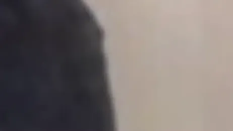 camilasexy111 webcam model stream image