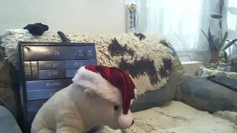 SexySantaC webcam model stream image